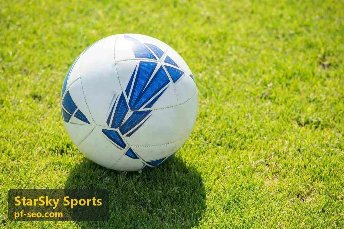 StarSky Sports 训练方案与数据入口